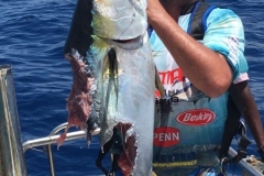 Fishing-in-Primeiras-Banks-305