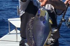 Fishing-in-Primeiras-Banks-315