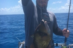 Fishing-in-Primeiras-Banks-333