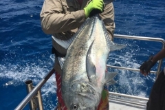 Fishing-in-Primeiras-Banks-77