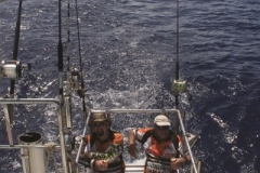 Fishing-in-Primeiras-Banks-95